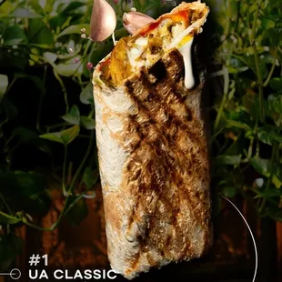 UA CLASSIC SHAWARMA