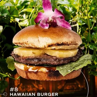 Hawaiian Burger