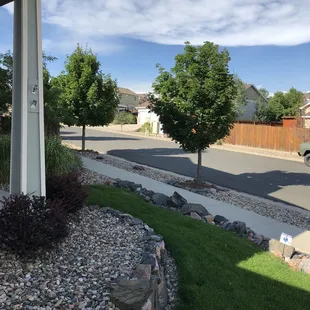 Trees fertilized by Lawn Doctor