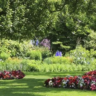 a garden with flowers and trees