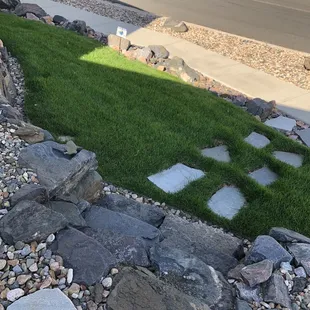Beautiful weed free lawn