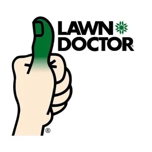 a hand holding a marijuana leaf