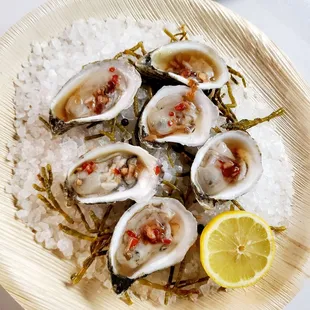 Raw Oysters