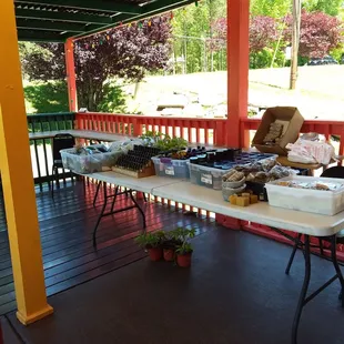 Selling teas, soap, honey and other items outdoors