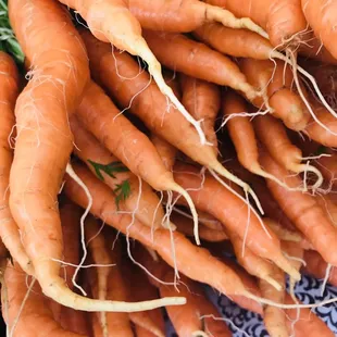 a pile of carrots