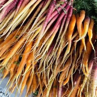 a bunch of carrots