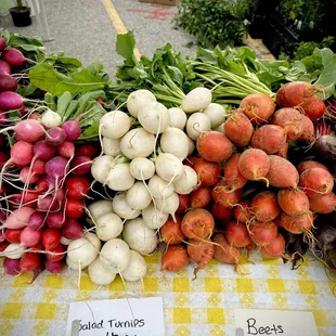 radishes and beets