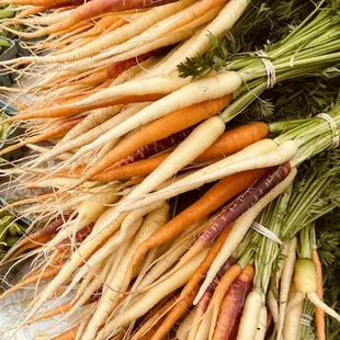 a bunch of carrots