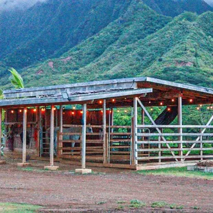 The stable in the Lawrence lovestock farm