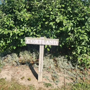 Lawrence Orchards