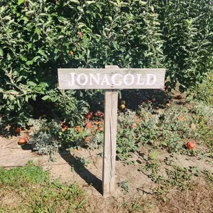a sign in front of a row of apple trees
