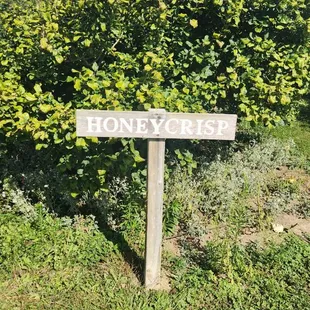 a sign for honeybeets