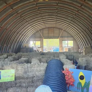 a group of people looking at hay