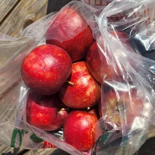 red apples in a plastic bag