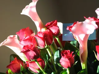 Thomas Ripley Flowers