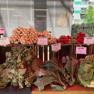 a variety of vegetables