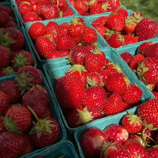 baskets of strawberries