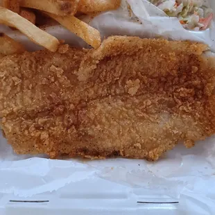2nd piece of catfish. Large portion.