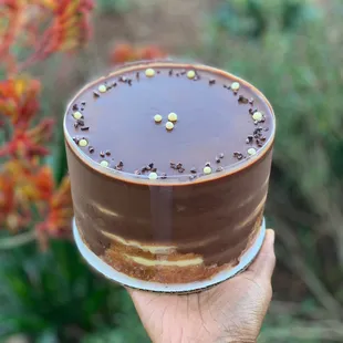 Boston Cream Pie with Guittard Chocolate