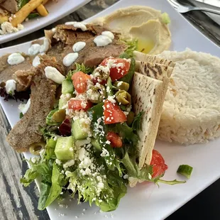 Gyro Plate.