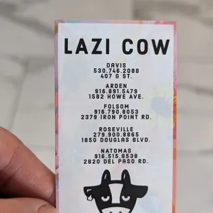 lazi cow