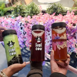 From left to right: Bobasaur, Strawberry Peachee, Sunset Passion.