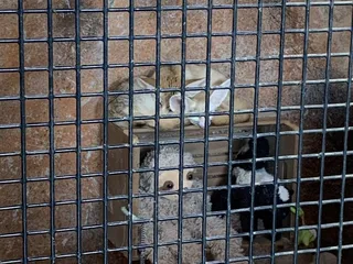 Zootastic Park
