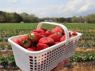 Carrigan Farms