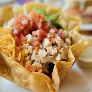 Marinated Chicken or Beef Tostada Salad