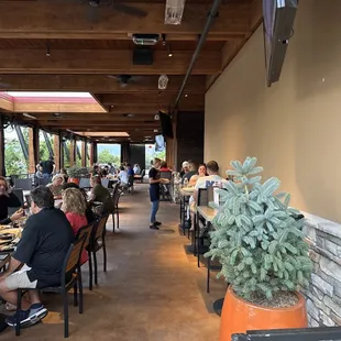 Dog-friendly patio.