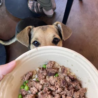 GS Grilled Chicken Breast