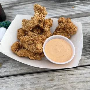 Gator Bites