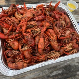 Crawfish!!