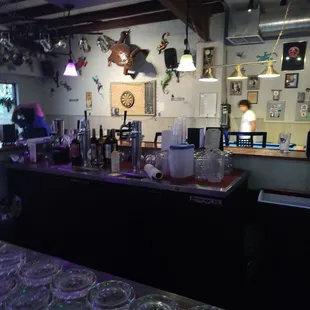 Lazy lizard reopened.