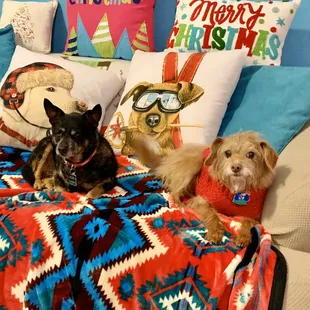 Butch &amp; Ruby