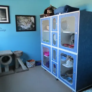 Cat suites
