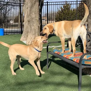 Annie &amp; Libby