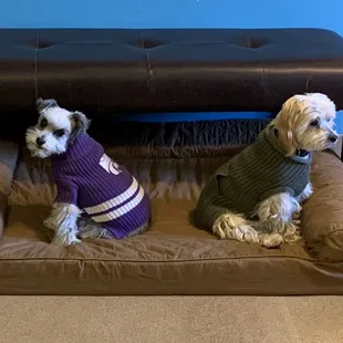 Abby &amp; Lily