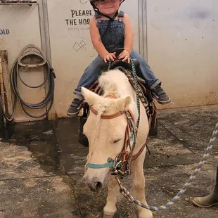 He loves his pony rides with Bri!