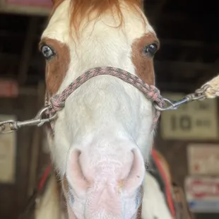 Mr. Patch smiling for a shot.