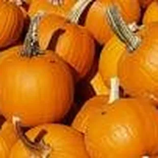 Lazy T Fall Festival - weekends from September 28 through October