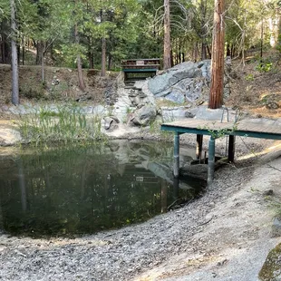 Once a nice pond with canoes