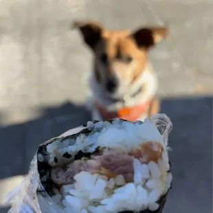 Spam musubi