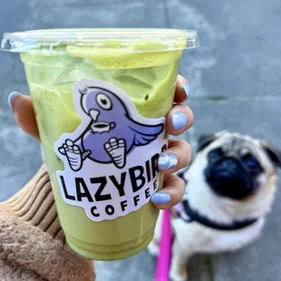 White Chocolate Matcha (Oat Milk)