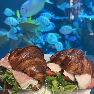 Chicken Pesto &amp; Prosciutto with cream cheese