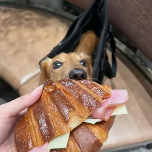 a person holding a croissant sandwich with ham and cheese