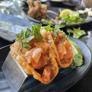 Salmon cerviche tacos