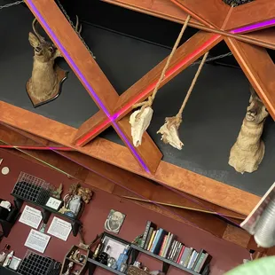 detailed ceiling and interior