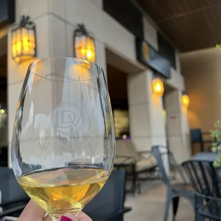 a hand holding a glass of white wine