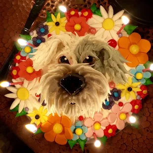 Old English Sheepdog cake